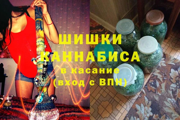 дживик Верхний Тагил