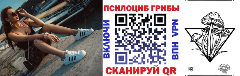 OMG как зайти  купить наркотики цена  Кимовск  Галлюциногенные грибы Psilocybine cubensis 